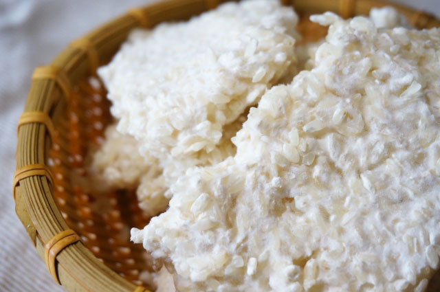 麹とは？麹菌は日本の「国菌」？麹の効能と自宅での使い方！